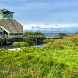 VisitorCenter Naturum Hornborgasjön