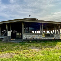 Ausichtsplattform im Naturum Hornborgasjön