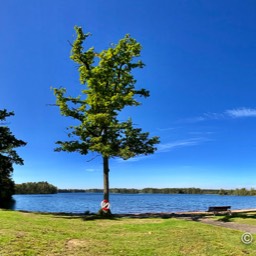 Rastplatz mit angeschlossenem Camping an einem der vielen Seen