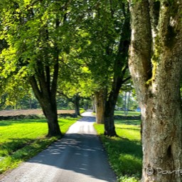 Über die Allee geht es zurück zur Hauptstraße