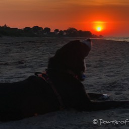 Genießer im Sonnenaufgang