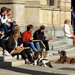 Auch ein Hund liebt Pizza... ;)