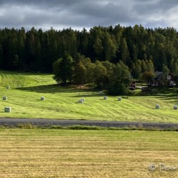 Die Heuernte liegt zur Abholung parat