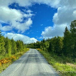 Artgerechte Haltung für unseren Iveco - auf dem Weg zum Skuleskögen Nationalpark