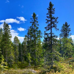 eine tolle kleine Wanderung