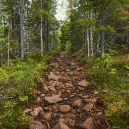 um dann auf Naturwegen zu wandern...