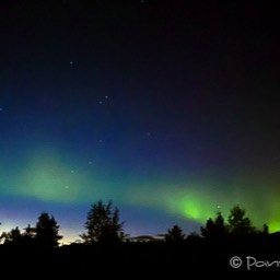 Juchhu - sie tanzen! Wahnsinnig schön - die Polarlichter zeigen sich