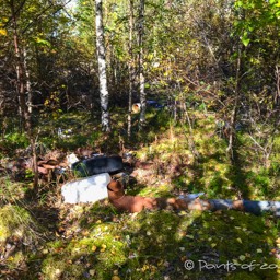 Im Wald entsorgt... Schade, denn das muss echt nicht sein!