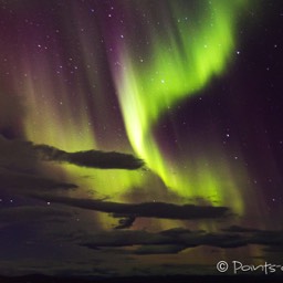 Die Polarlichter schweben über uns