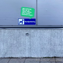 Parkplatz für die Fellnasen