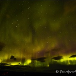 Die Auroras lodern über uns