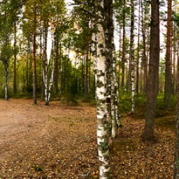 Am See Djuprämmen finden wir einen traumhaften Platz